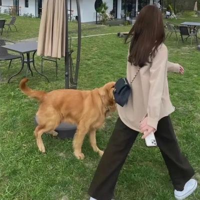 头师父一体